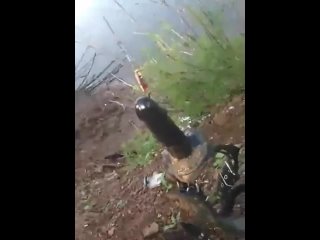 fishing incident